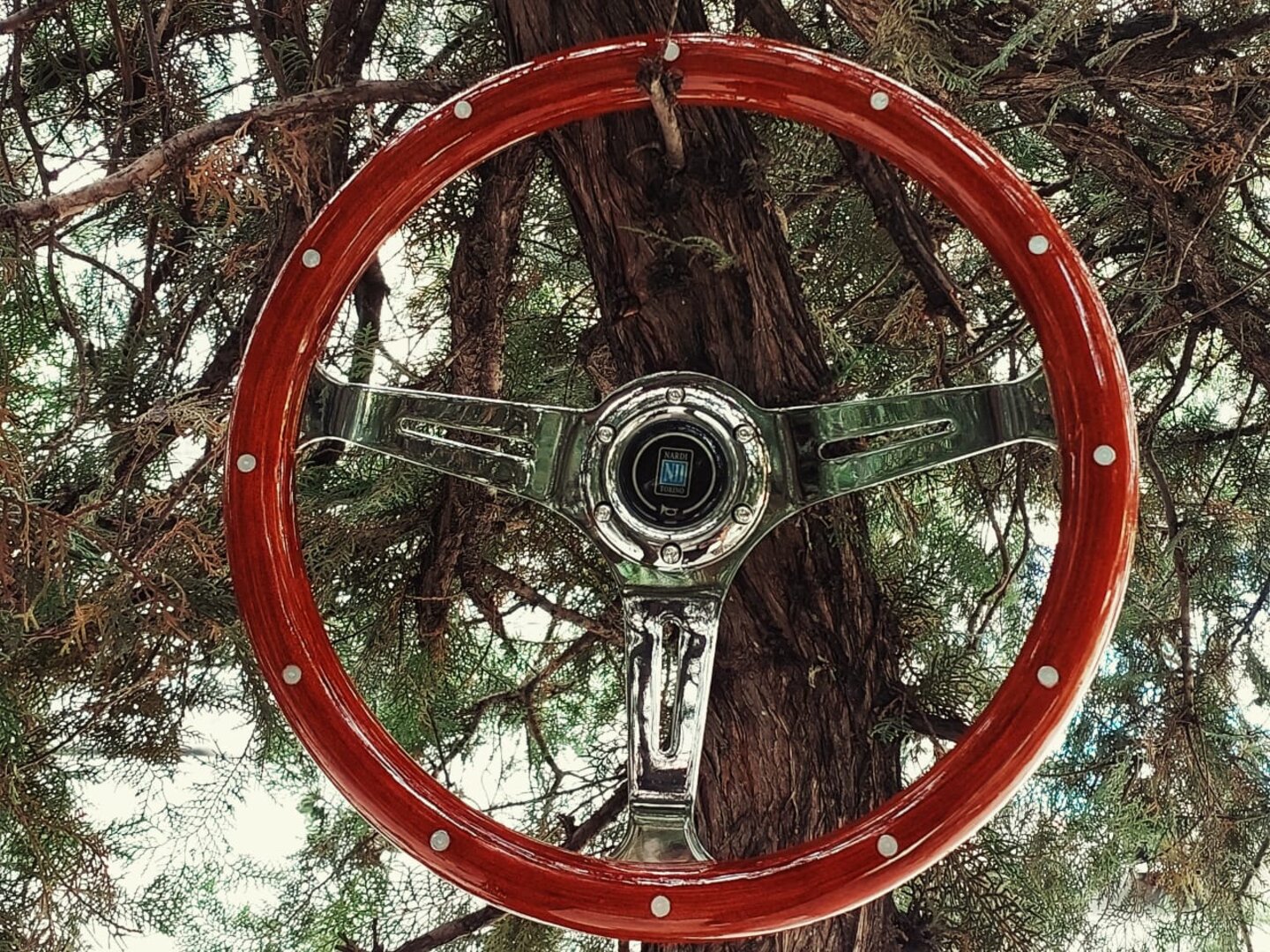 Nardi Wooden Steering Wheel